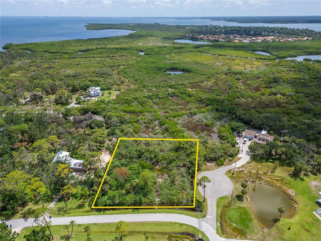 Strathmore Avenue Oldsmar, FL 34677 - Photo 9 of 27 a view of a field with an outdoor space