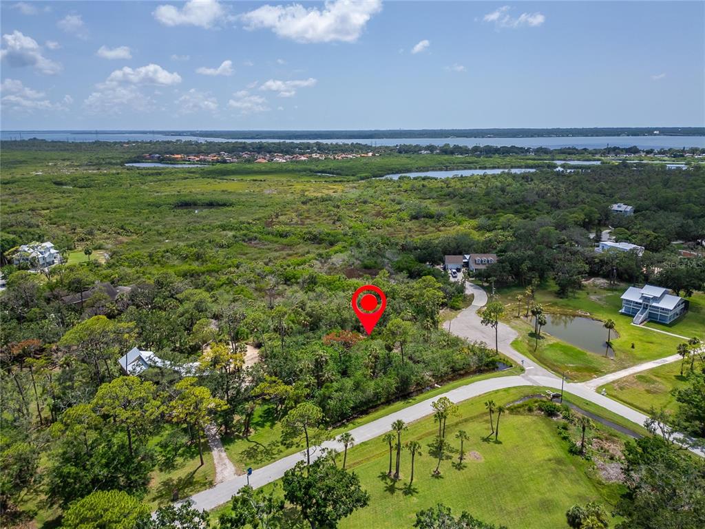 Strathmore Avenue Oldsmar, FL 34677 - Photo 10 of 27 a view of a swimming pool