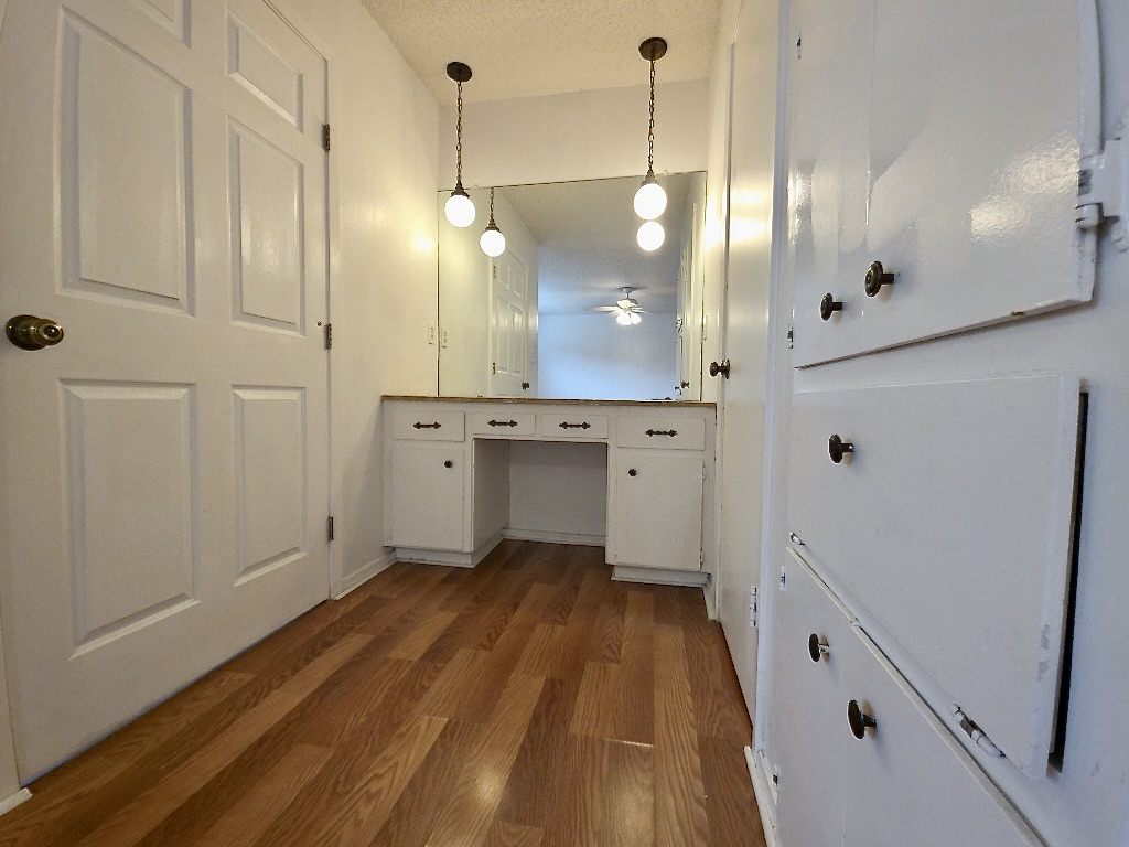 4901 Wing Road Austin, TX 78749 - Photo 15 of 28 Built-in vanity with integrated mirror, pendant lighting, wood-finish flooring, and panel doors