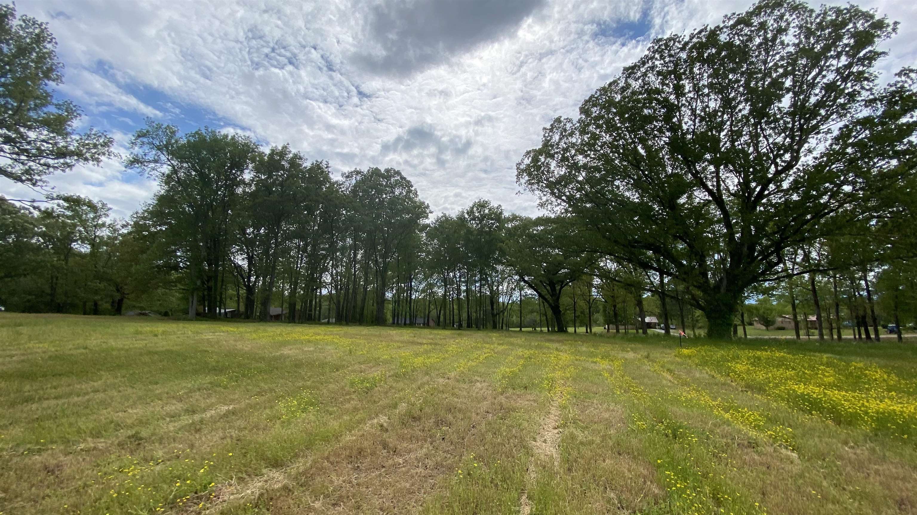0 Matrose Carrolls Road Michie, TN 38357 - Photo 3 of 11 Gallery Image 3