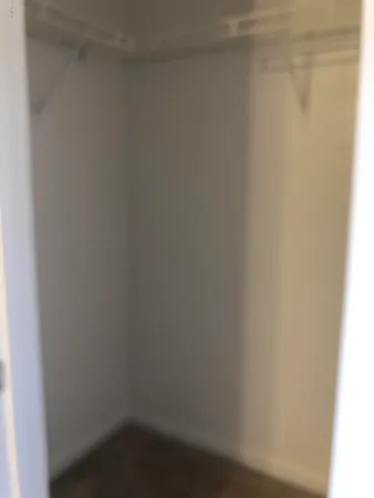 a bathroom with a shower and a toilet