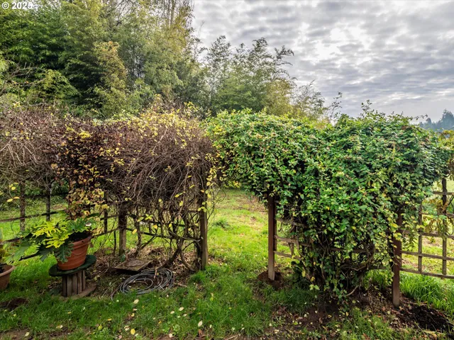a backyard of a house with lots of green space