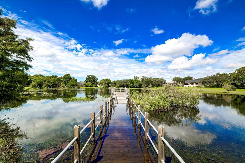 6067 Patricia Place Weeki Wachee, FL 34607 - Photo 10 of 21
