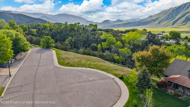 a view of a garden with a pathway