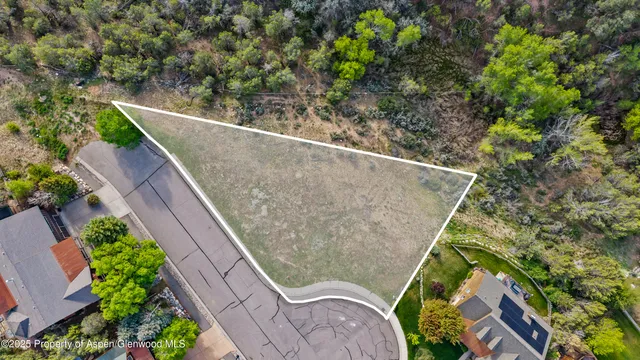 a view of a yard with plants