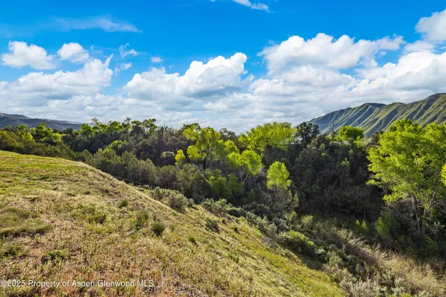 a view of a garden with plants