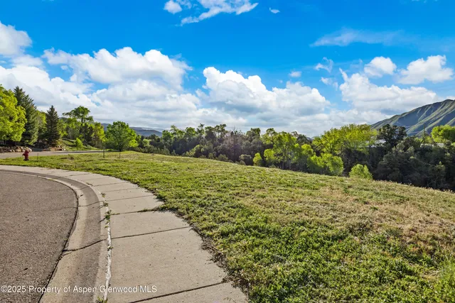 a view of a big yard with plants and large trees