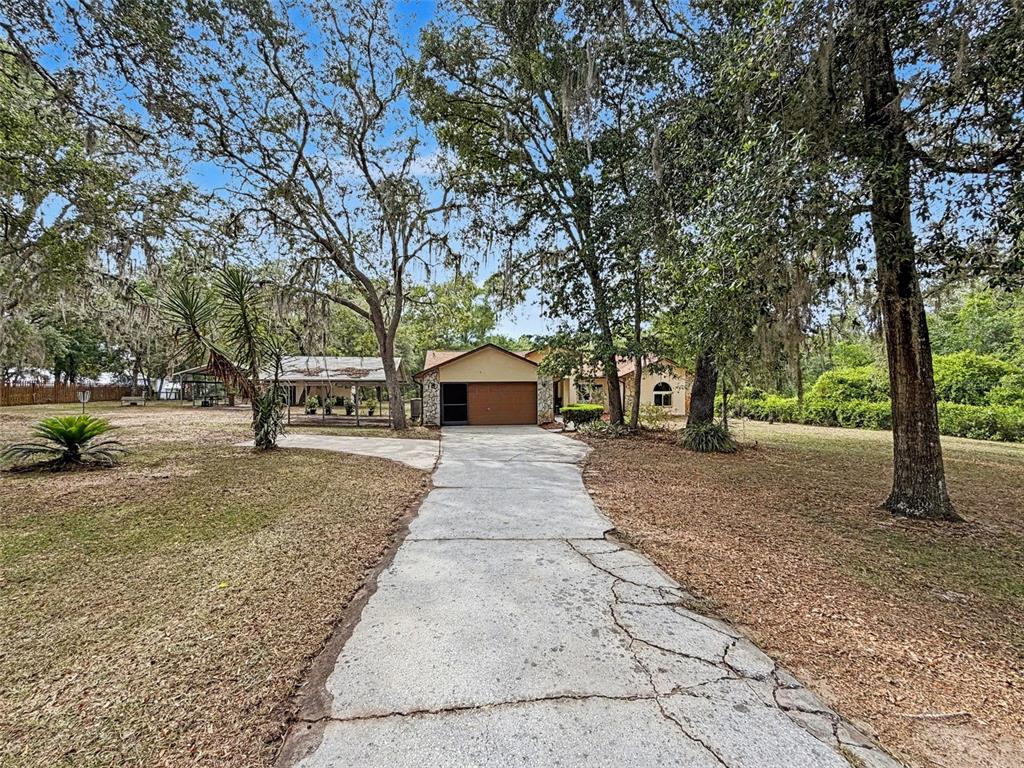 7111 Ricker Avenue Webster, FL 33597 - Photo 4 of 41 a road view with large trees