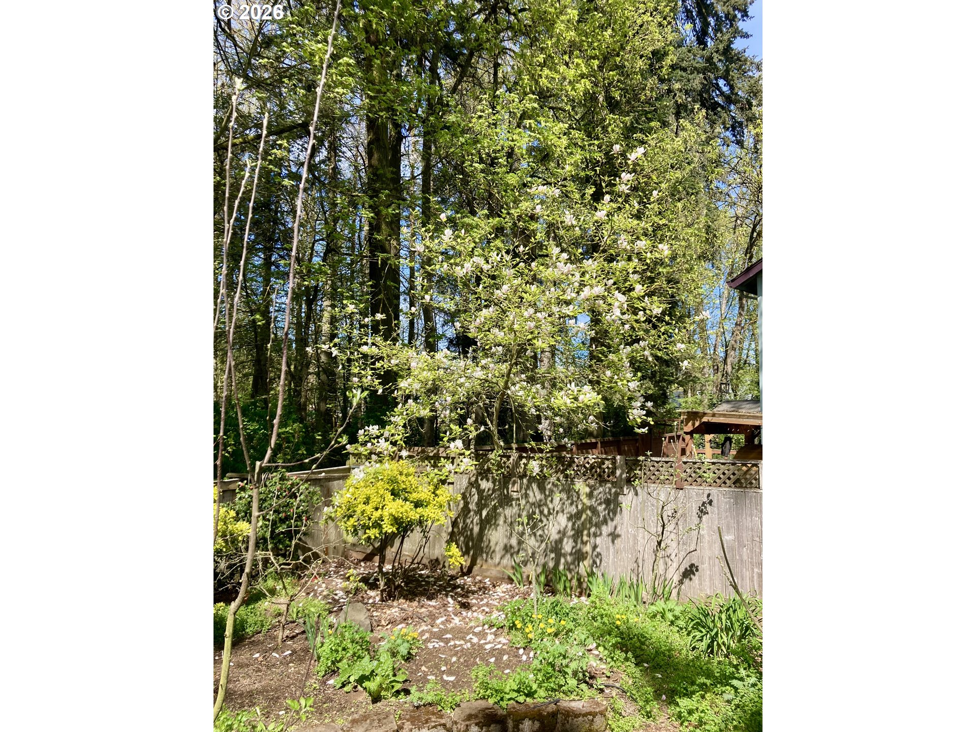 4366 Berry Lane Eugene, OR 97404 - Photo 41 of 42