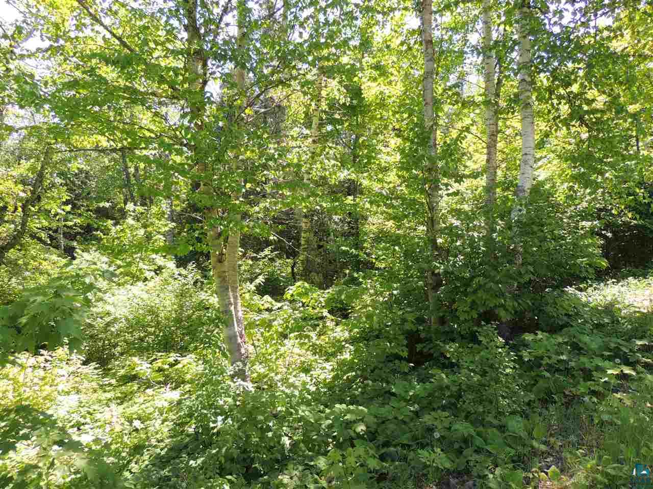 X30 Isak Ridge Lutsen, MN 55612 - Photo 13 of 28
