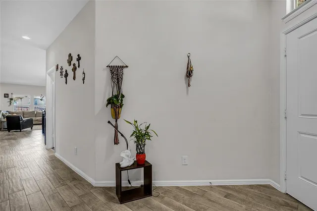 a view of a hallway with wooden floor and a potted plant