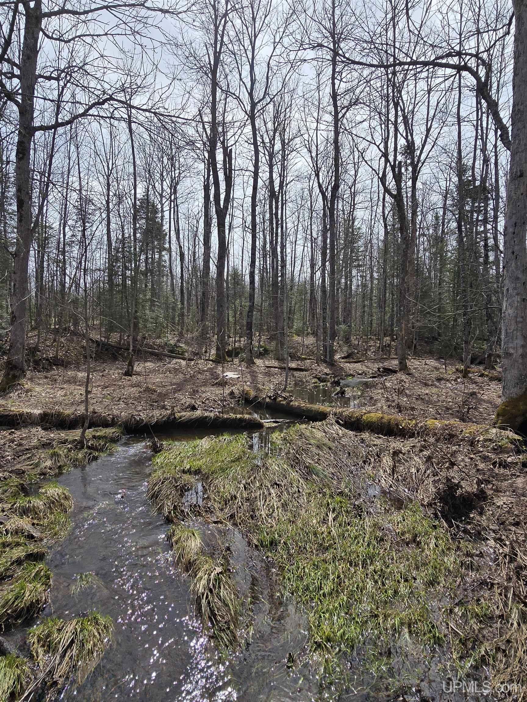 Tbd Woodspur Road Ontonagon, MI 49953 - Photo 10 of 46