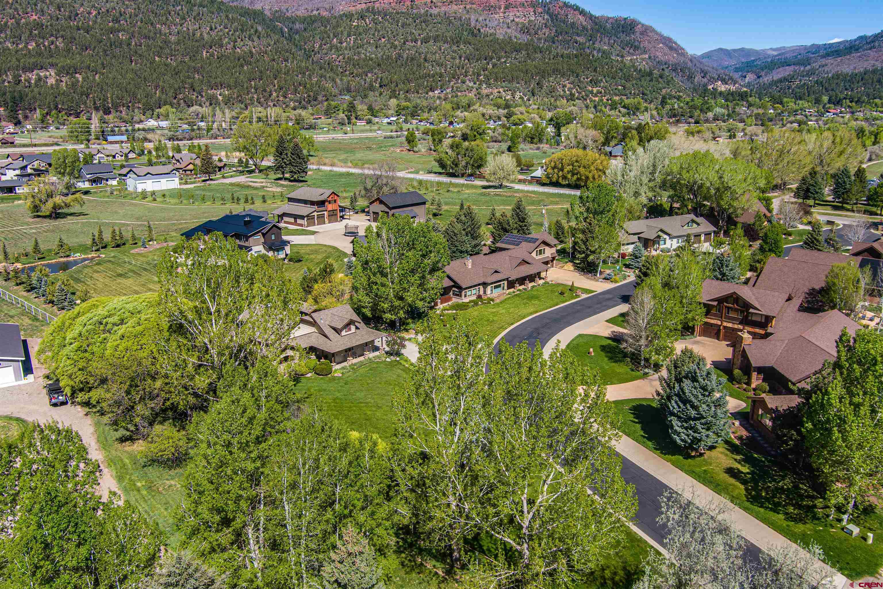 1167 North Dalton Ranch Road Durango, CO 81301 - Photo 45 of 45 an aerial view of residential houses with outdoor space and trees