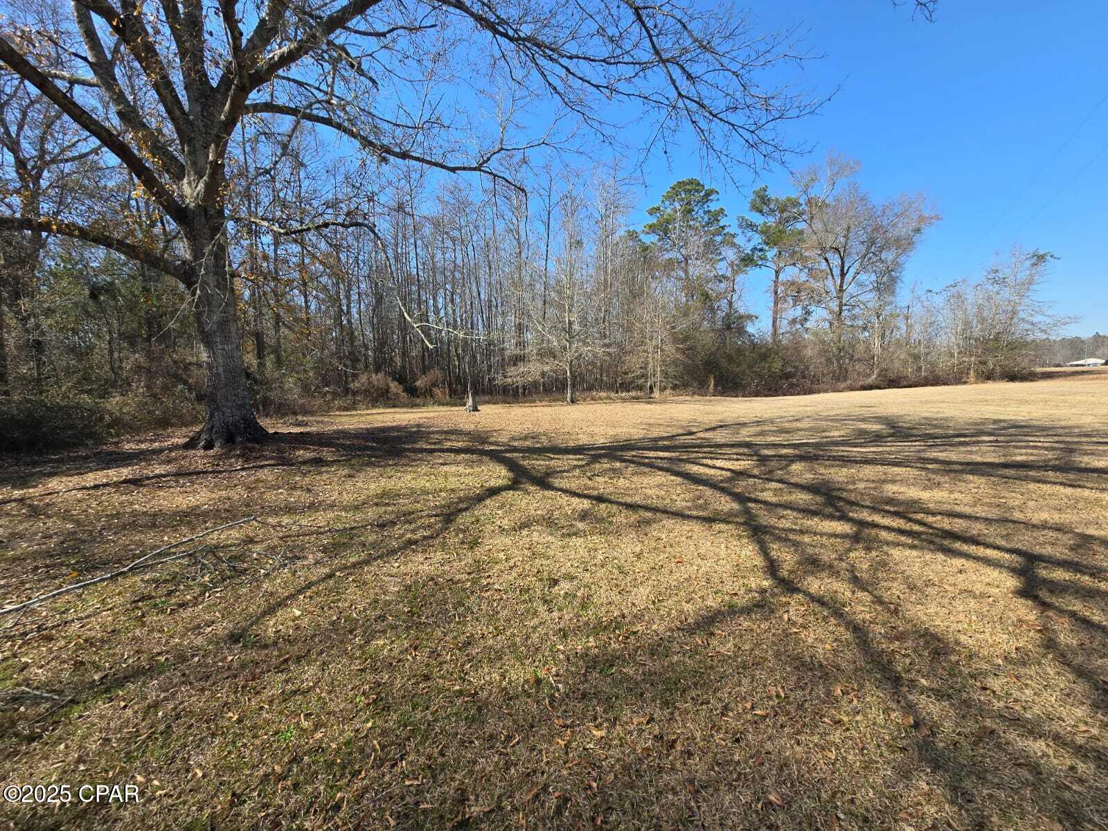 59 Enfinger Road Chipley, FL 32428 - Photo 10 of 12