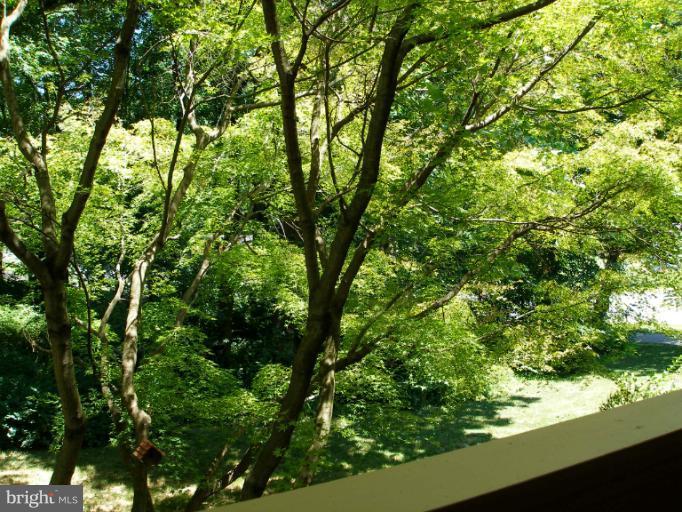 1768 Wainwright Drive Reston, VA 20190 - Photo 17 of 26 View from Living Room Balcony