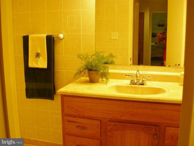 1768 Wainwright Drive Reston, VA 20190 - Photo 3 of 26 Full Bath Lower Level