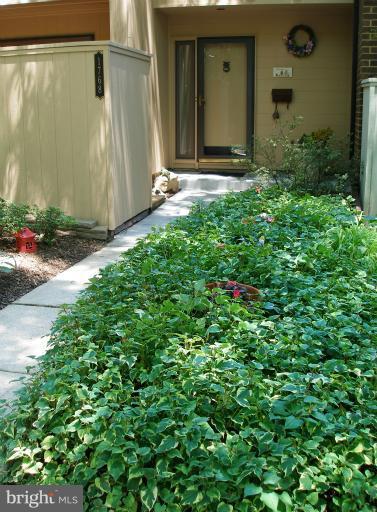 1768 Wainwright Drive Reston, VA 20190 - Photo 10 of 26 Front Walkway