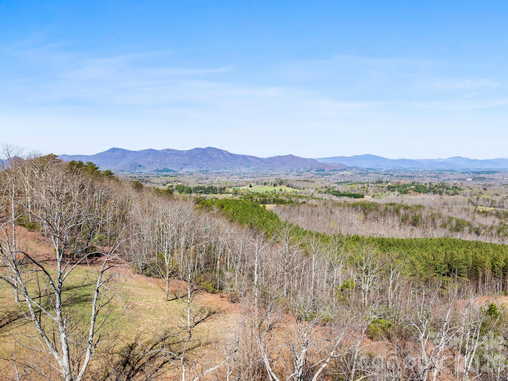 25 Preservation Trail Tryon, NC 28782 - Photo 34 of 42