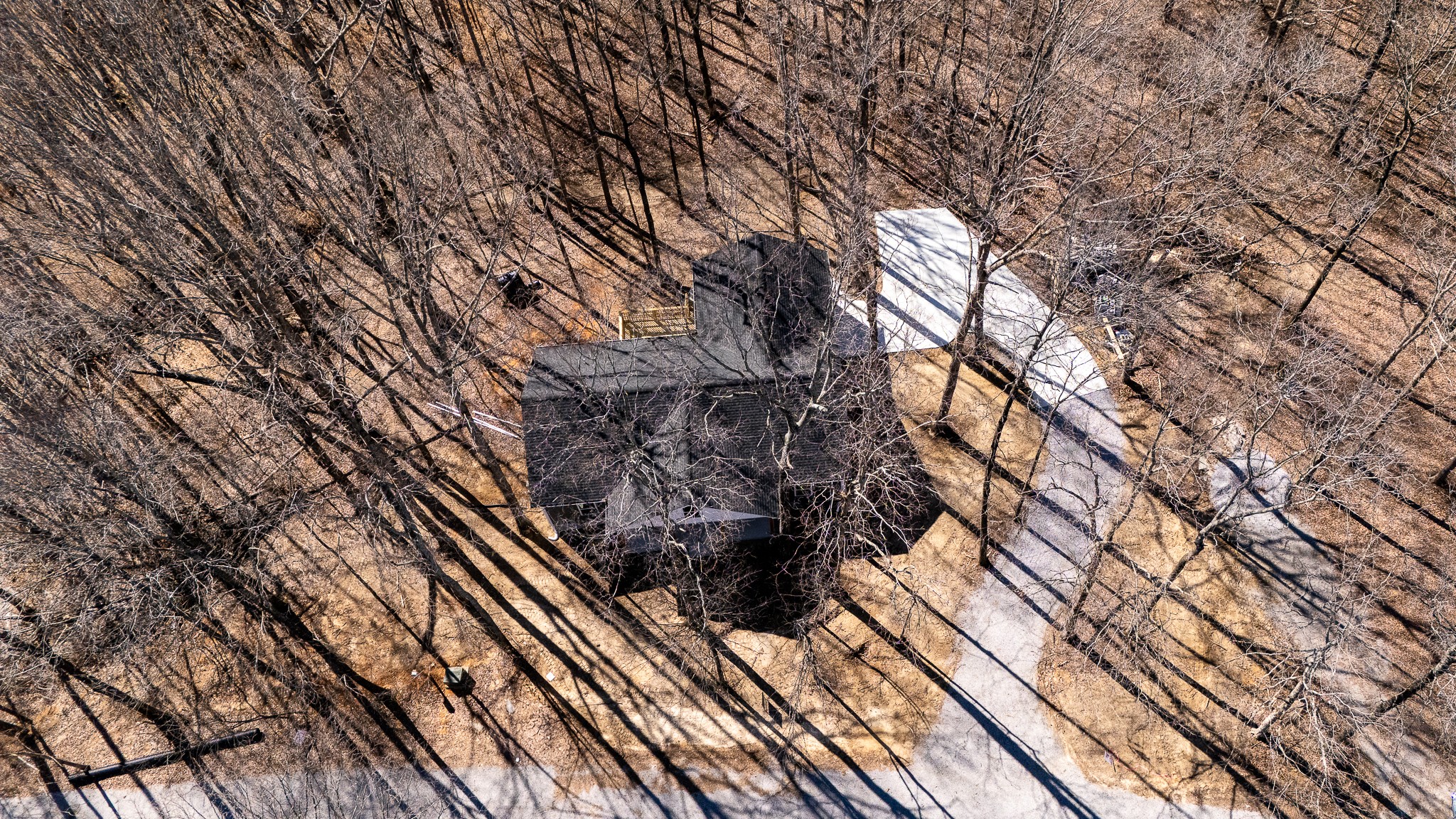 32 Periwinkle Path Leoma, TN 38468 - Photo 24 of 28 a picture of trees