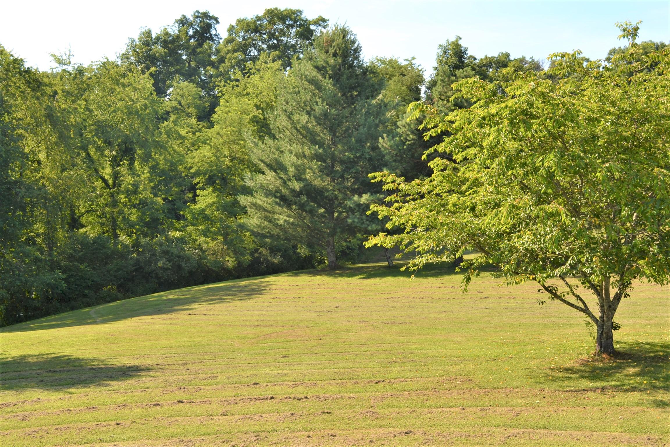 372 Charles Masters Road Ronceverte, WV 24970 - Photo 7 of 50 Gallery Image 7