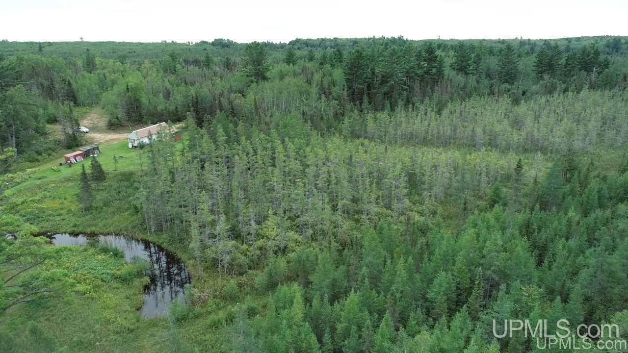 Tba Stebbins Road Perronville, MI 49873 - Photo 1 of 30 Gallery Image 1