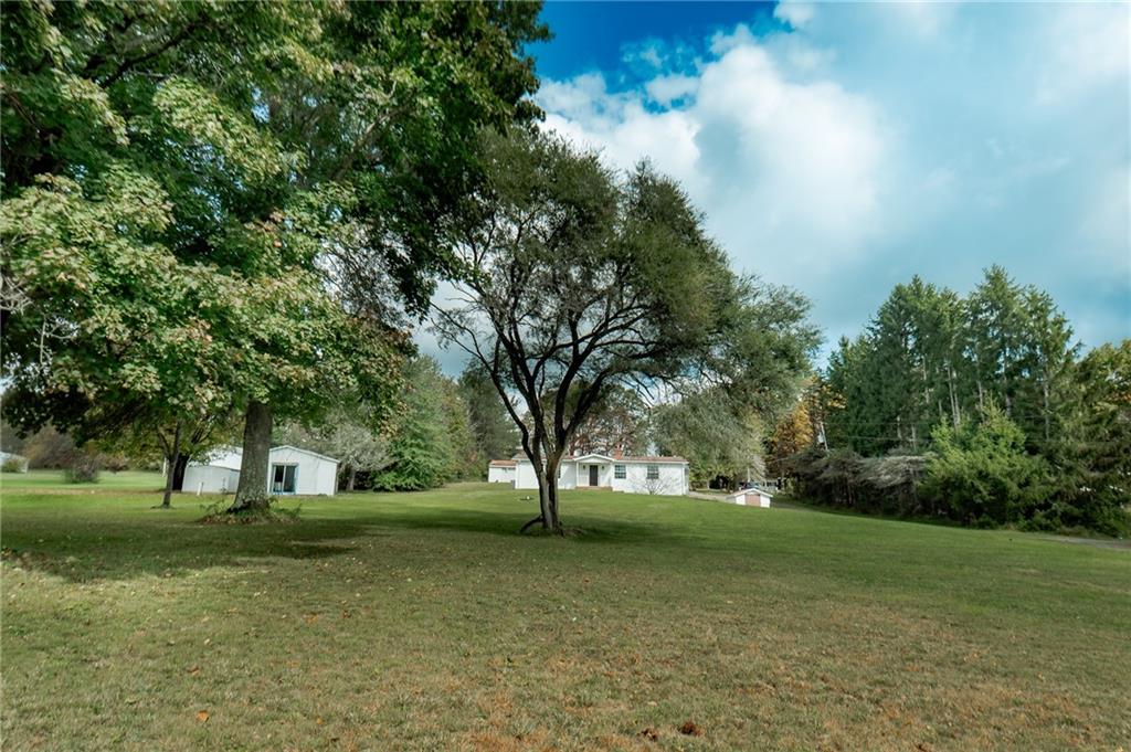 583 Bowdertown Road Cherry Tree, PA 15724 - Photo 11 of 38 a view of yard with tree s