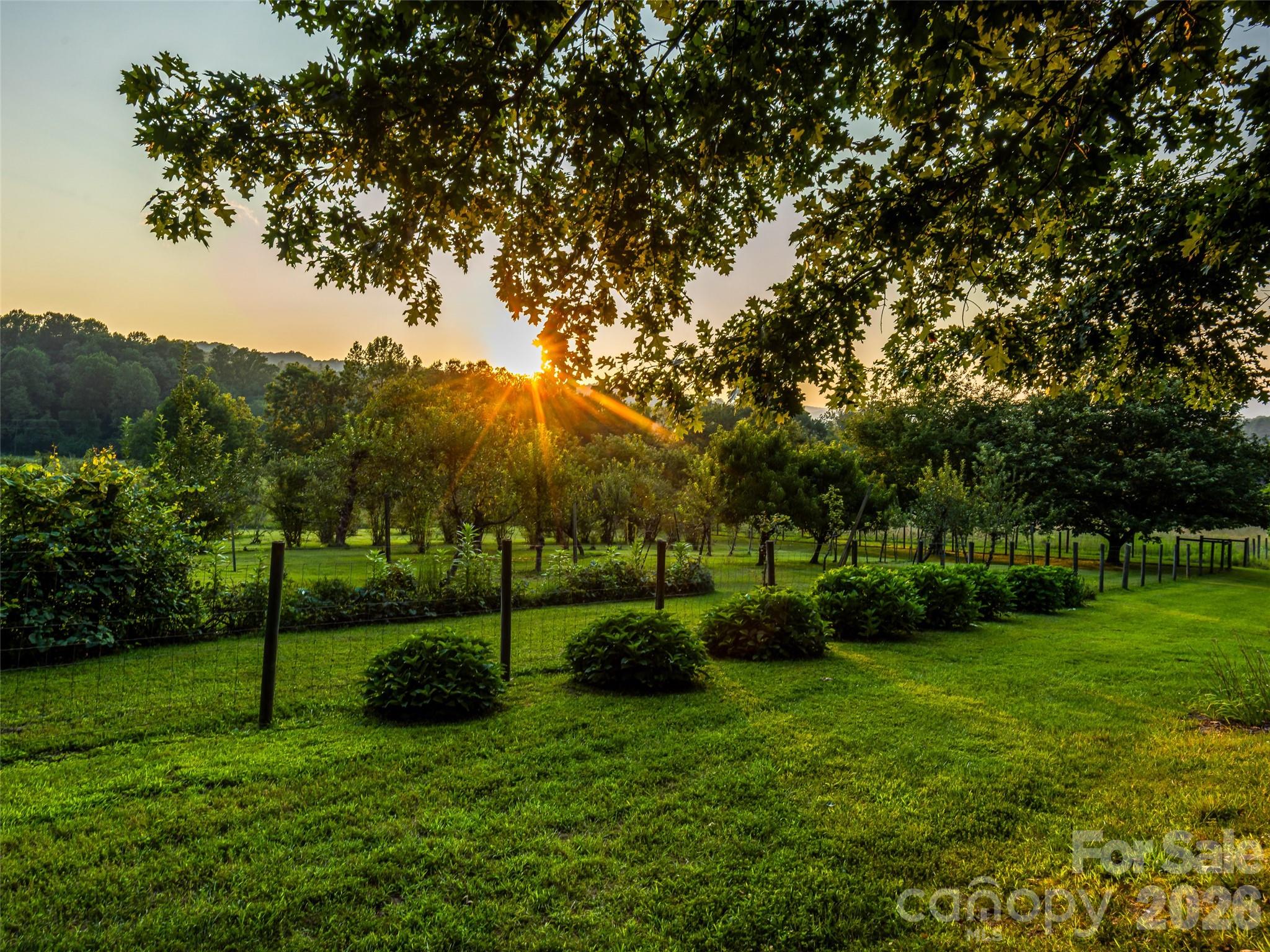 280 Walnut Hollow Road Brevard, NC 28712 - Photo 44 of 48 Gallery Image 44
