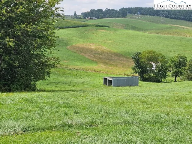 a view of a big yard with plants and large trees