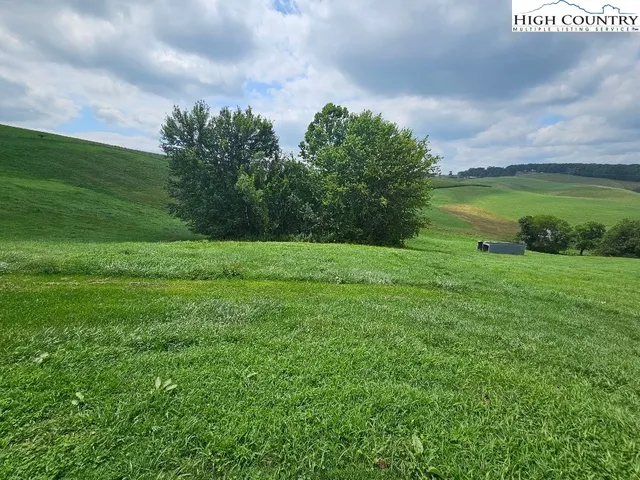 a view of a big yard with plants and large trees