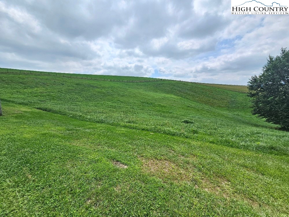 459 Edwards Road Ennice, NC 28623 - Photo 32 of 36 a view of a big yard with plants and large trees