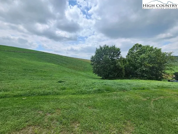 a view of field with tall trees