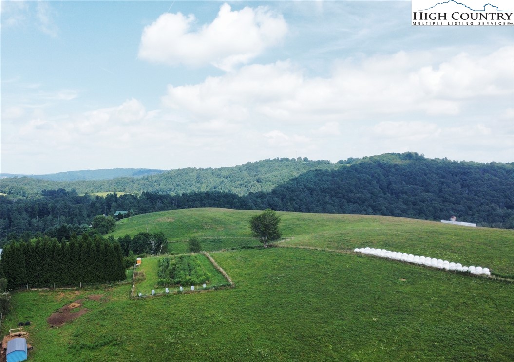 459 Edwards Road Ennice, NC 28623 - Photo 35 of 36 a view of field with tall trees