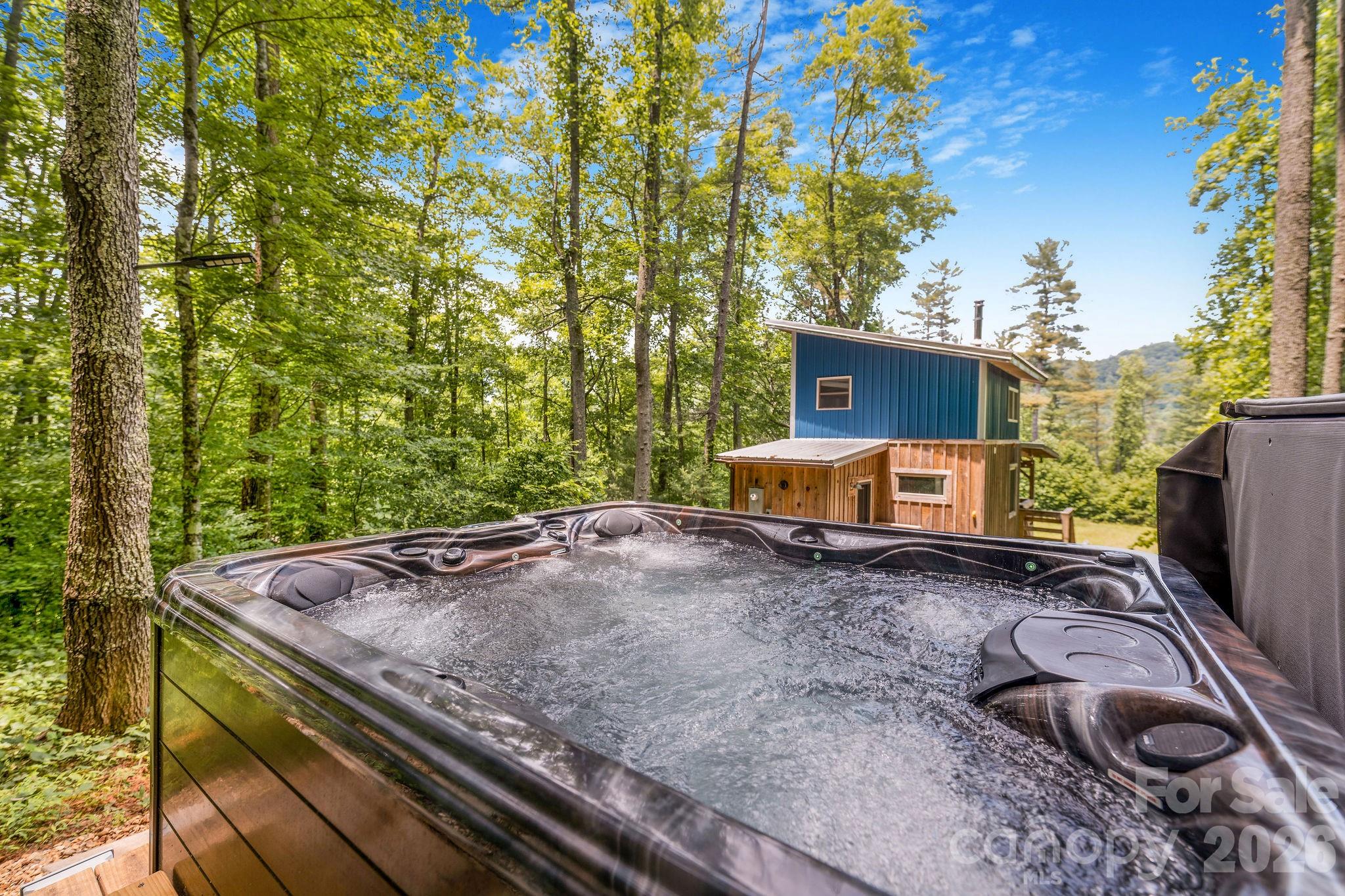 2504 Upper Paw Paw Road Marshall, NC 28753 - Photo 4 of 41
