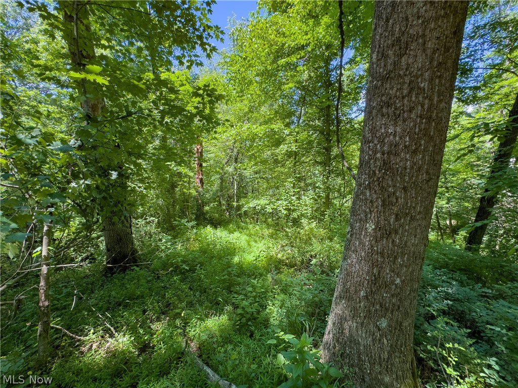 0 Long Hollow Road Pomeroy, OH 45769 - Photo 13 of 31