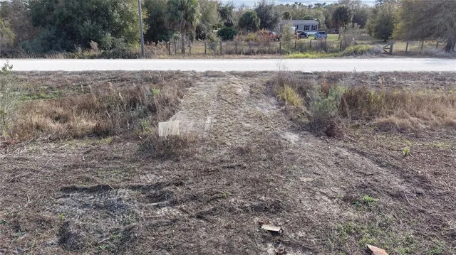 a view of dirt yard with large trees