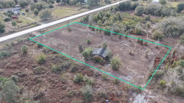 a view of a dry yard with large trees