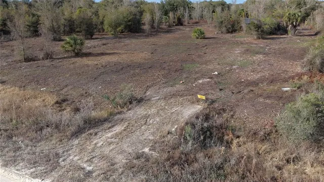 a view of an outdoor space with trees
