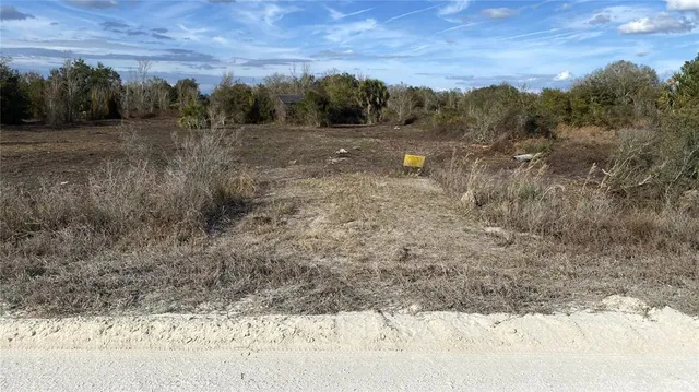 a view of a dry yard with trees