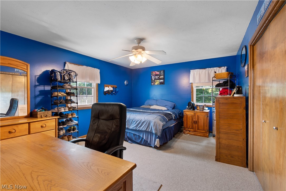 12899 Clinton Road Doylestown, OH 44230 - Photo 20 of 34 Gallery Image 20