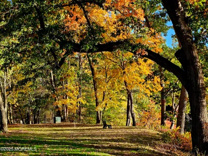 a view of lake with trees