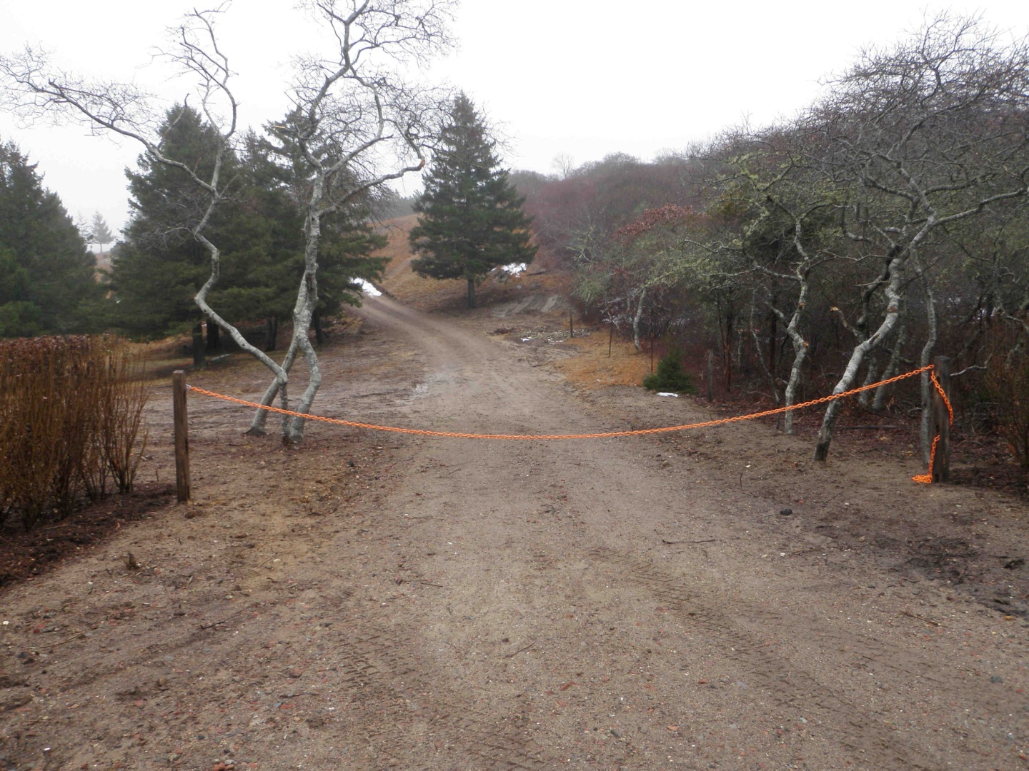 2 Quidnet Road Nantucket, MA 02554 - Photo 1 of 1 Gallery Image 1