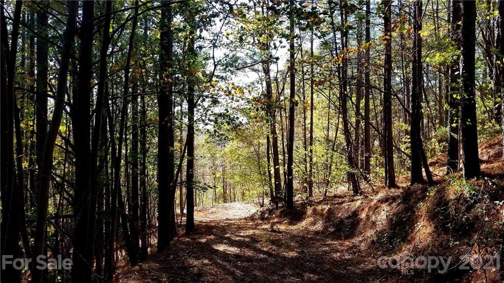 3240 Rock Creek Road Morganton, NC 28655 - Photo 11 of 20 Gallery Image 11