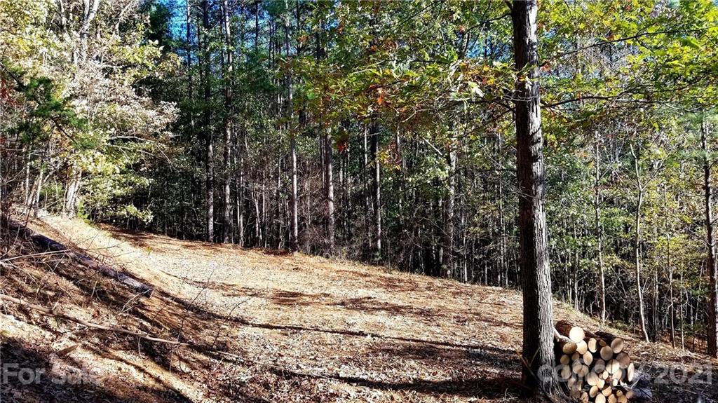 3240 Rock Creek Road Morganton, NC 28655 - Photo 12 of 20 Gallery Image 12