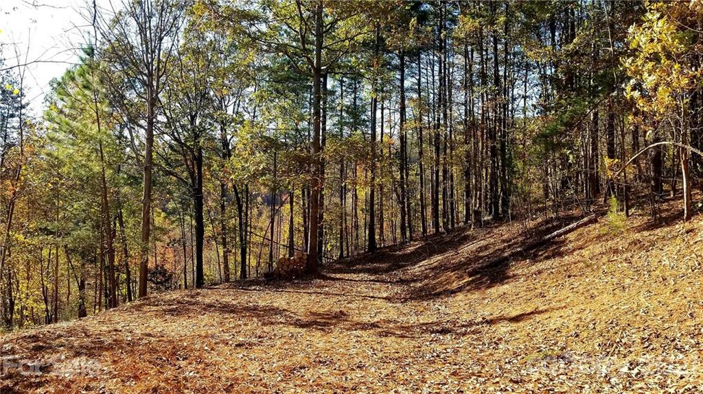 3240 Rock Creek Road Morganton, NC 28655 - Photo 13 of 20 Gallery Image 13