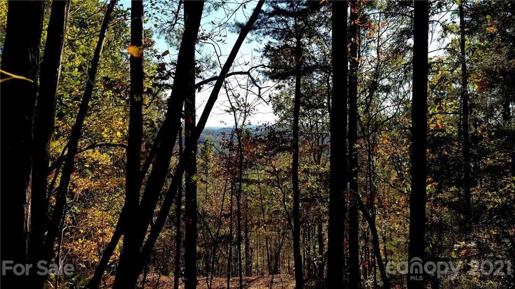3240 Rock Creek Road Morganton, NC 28655 - Photo 14 of 20 Gallery Image 14