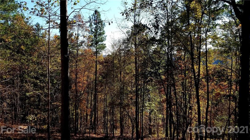 3240 Rock Creek Road Morganton, NC 28655 - Photo 15 of 20 Gallery Image 15