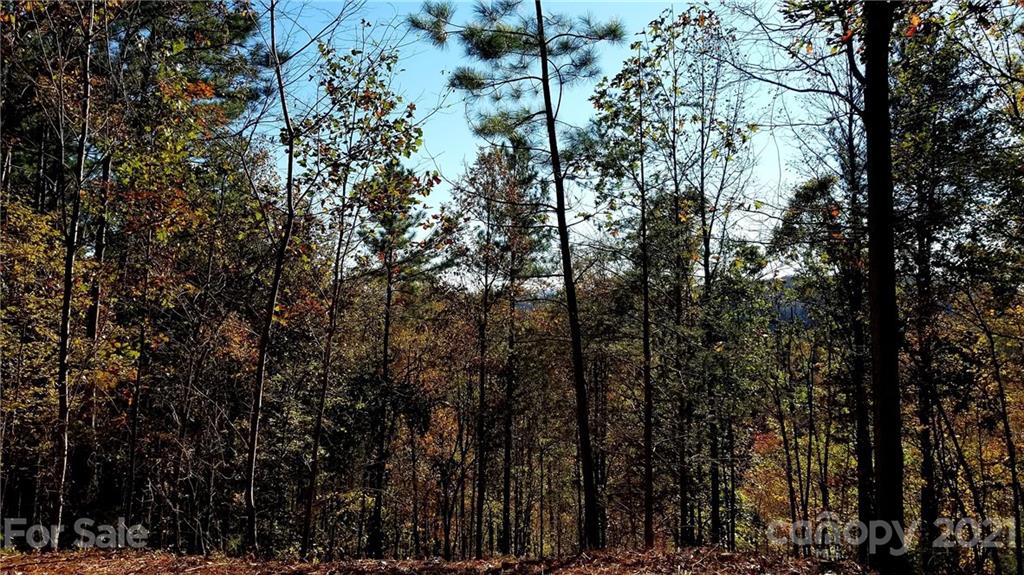 3240 Rock Creek Road Morganton, NC 28655 - Photo 16 of 20 Gallery Image 16