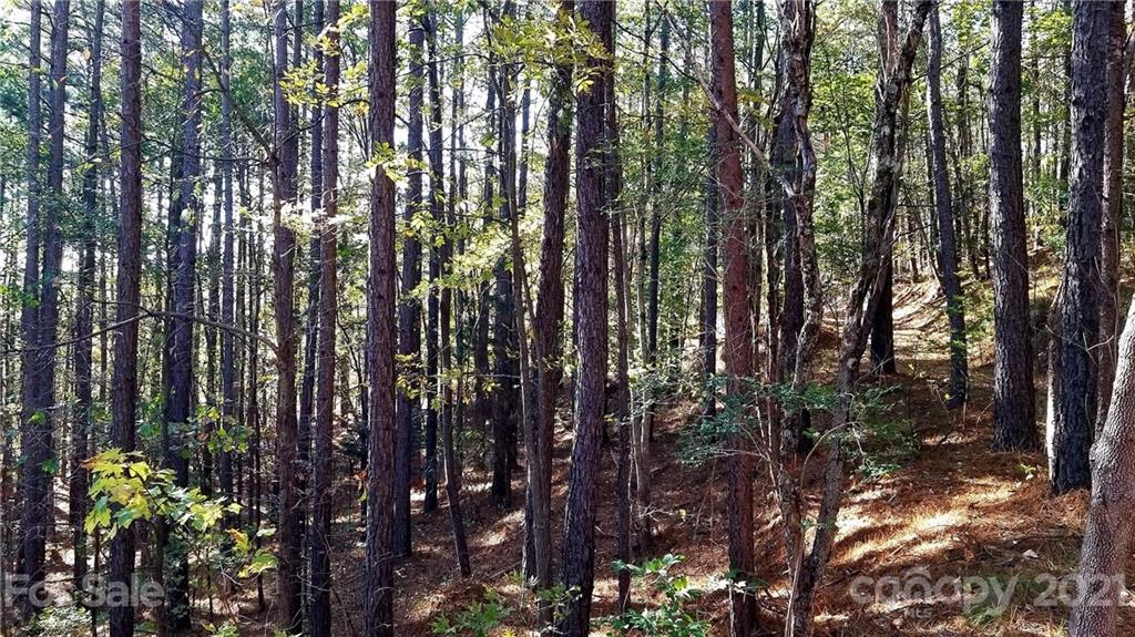 3240 Rock Creek Road Morganton, NC 28655 - Photo 17 of 20 Gallery Image 17