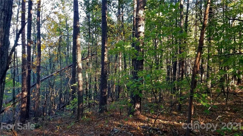 3240 Rock Creek Road Morganton, NC 28655 - Photo 18 of 20 Gallery Image 18
