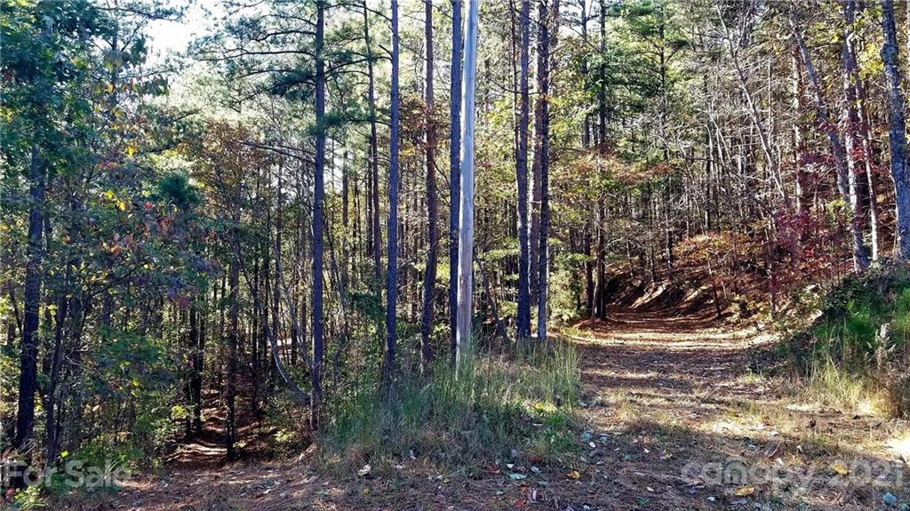3240 Rock Creek Road Morganton, NC 28655 - Photo 4 of 20 Gallery Image 4